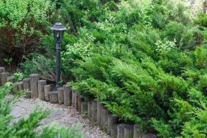 Add Some Magic With Garden Lighting Landscaping Austin