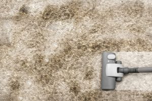 Removing Pet Stains carpet cleaning lancaster-pa